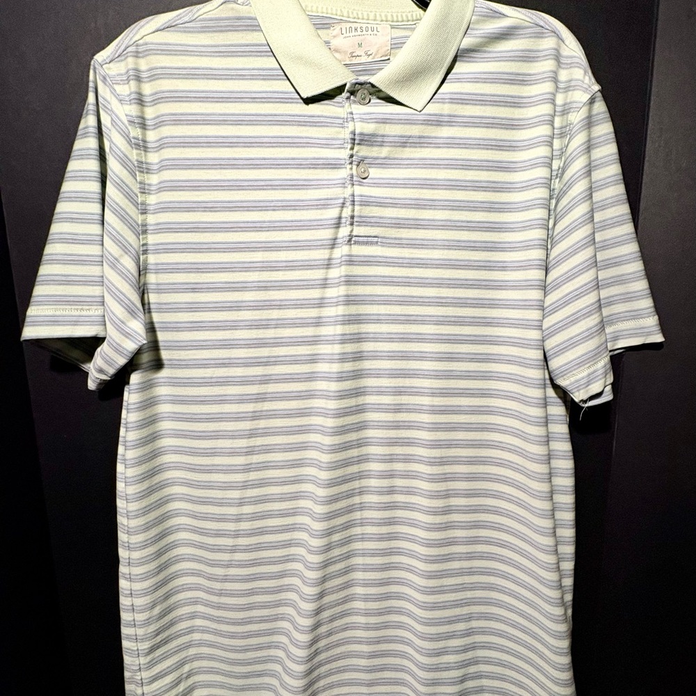 Linksoul Men's Striped Polo Shirt - Green with blue and black stripes